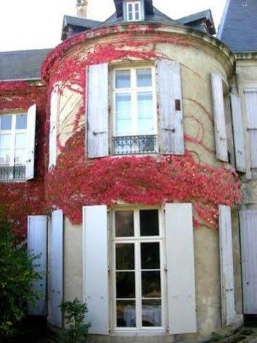 Chateau De Saint Michel De Lanes Exteriör bild